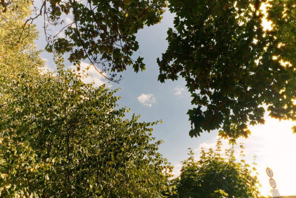 Aschlöcksken, photograph 7