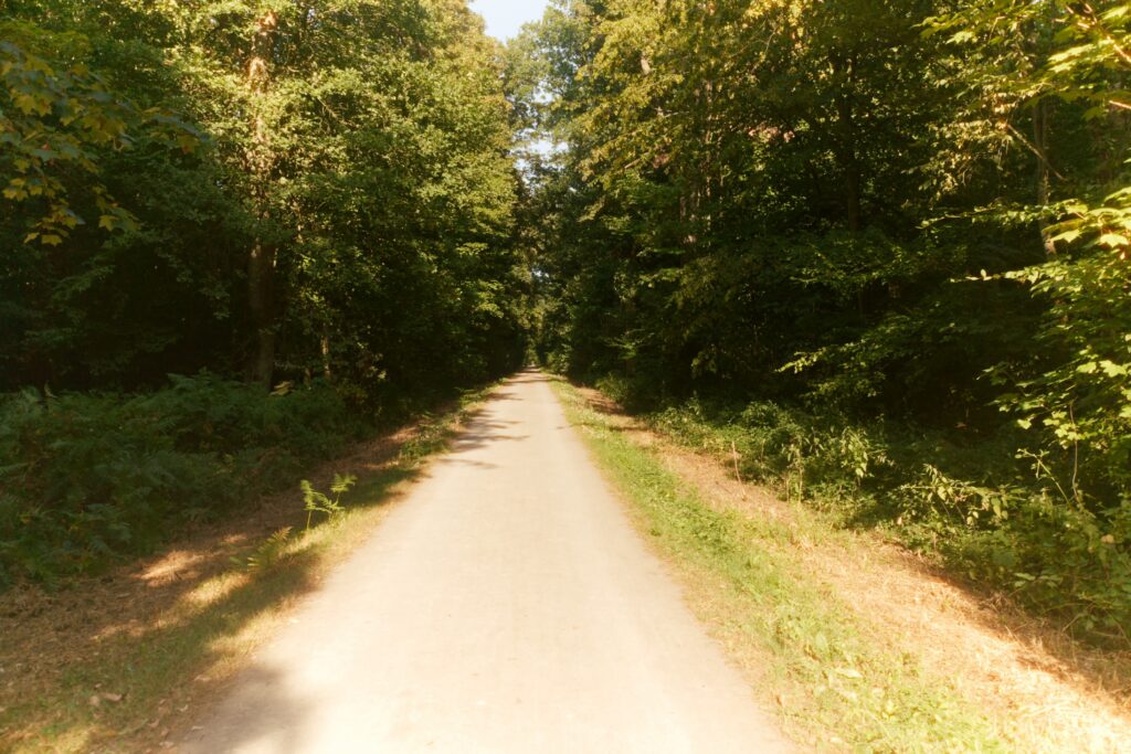 Aschlöcksken, photograph 14